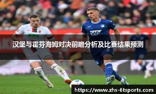 汉堡与霍芬海姆对决前瞻分析及比赛结果预测